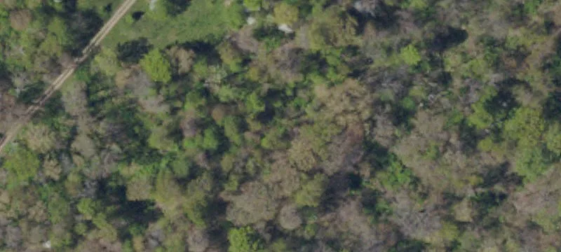 Saltsburg, PA 15681