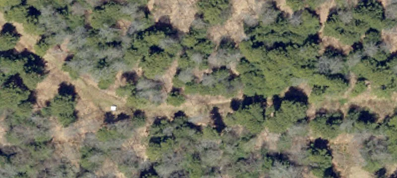 Wolf Run Rd
