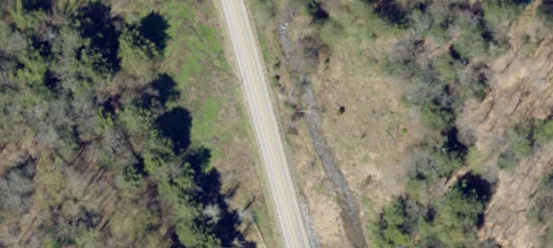 Cameron Rd