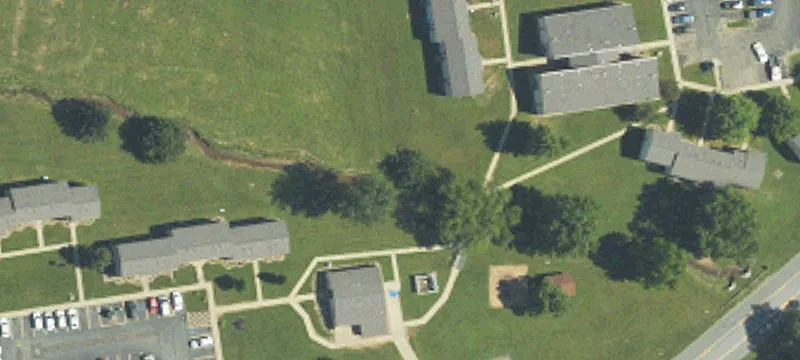 Shelly Dr