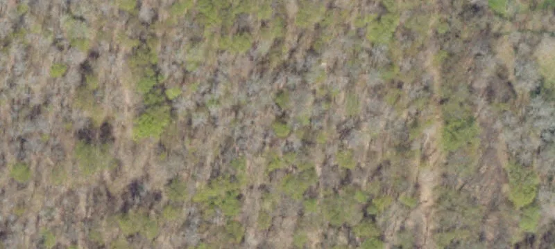 Eldred Rd