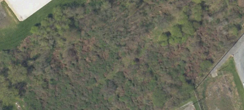 Nn Rd