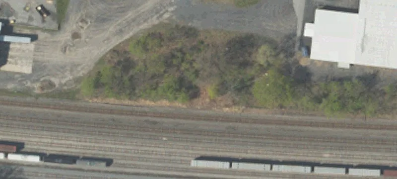 Bald Eagle St