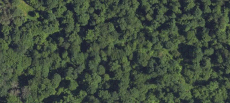 Corsica, PA 15829