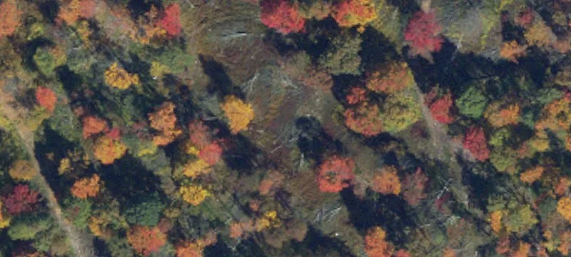 Clearfield County