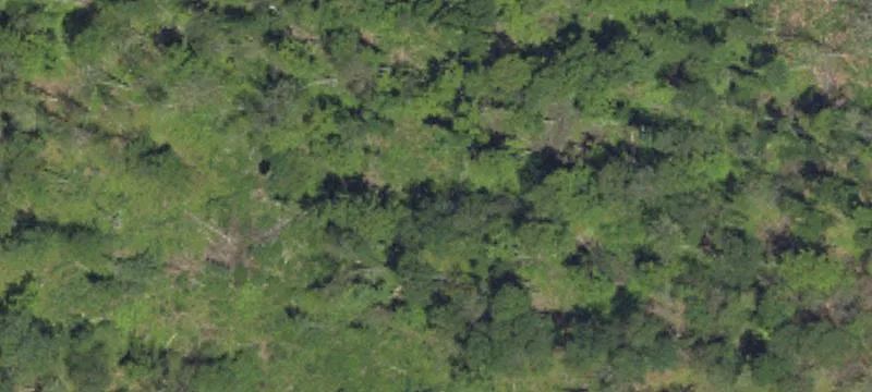 Sinnamahoning, PA 15861