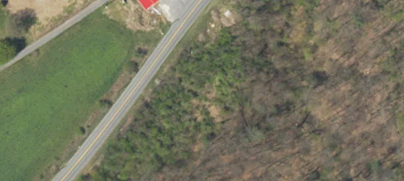 5442 Back Mtn Rd
