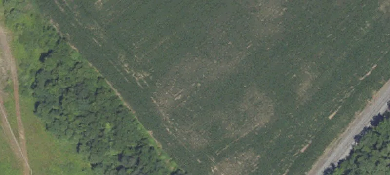 Pt Twp Dr