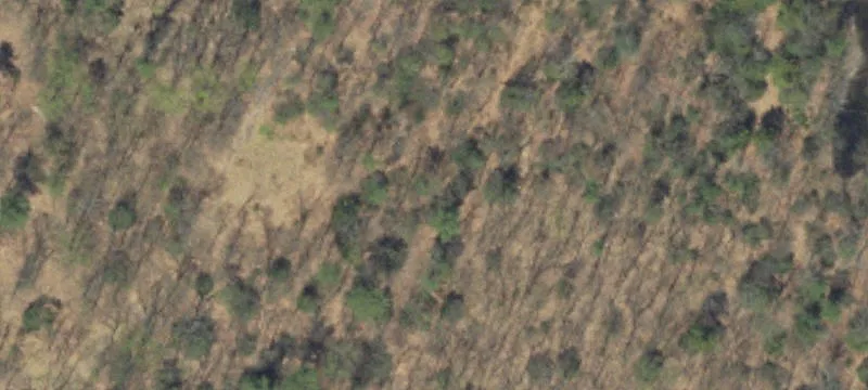 Mtn Rd