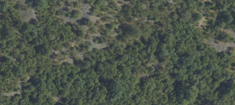 Locust Gap Hwy