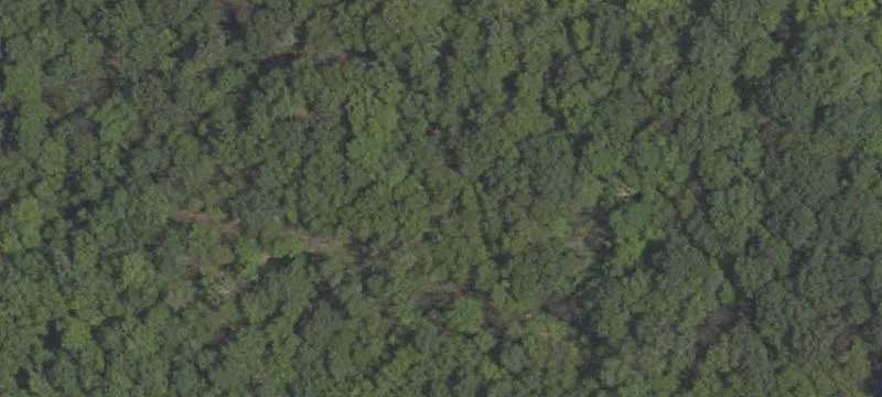 Coal Township, PA 17866