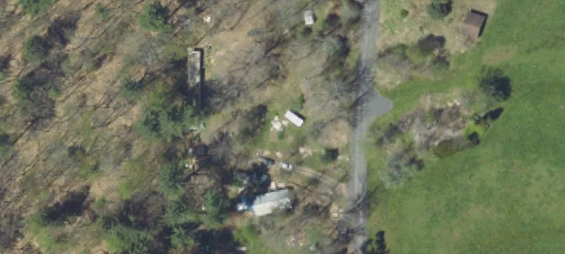 31 Llama Ln