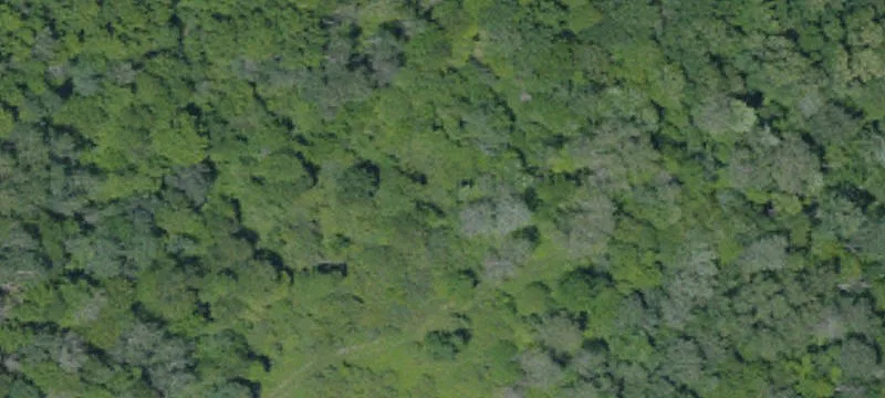Strip Mine Rt 208