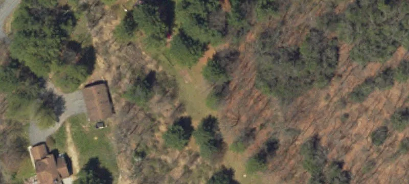 2950 Frst St