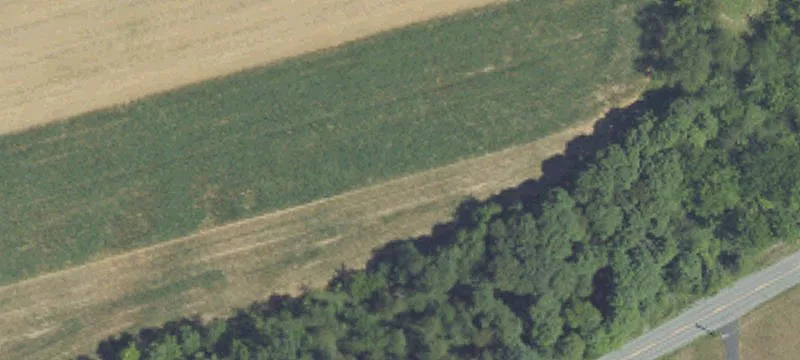 1789 Captain Bloom Rd