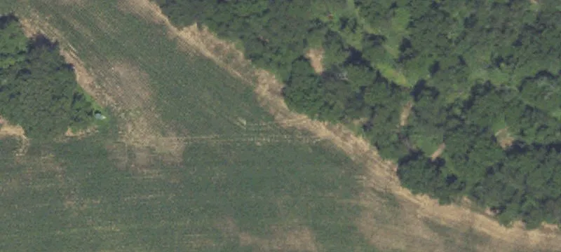 4195 Paradise Rd