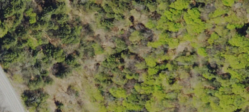 10671 State Rte 106