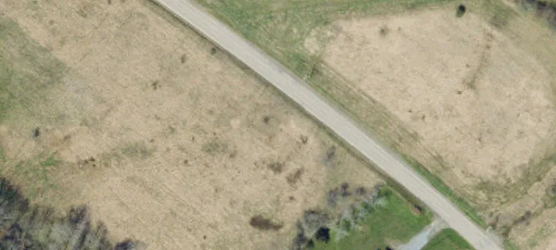 521 Whitehead Rd