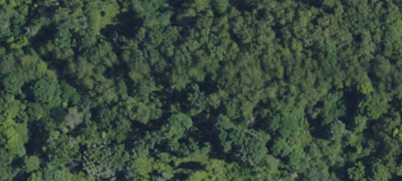 Rural Valley, PA 16249