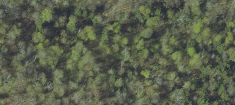334 Connelly Mtn Rd