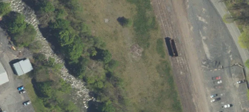 Mann Ave