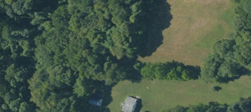 Pinederosa Ln