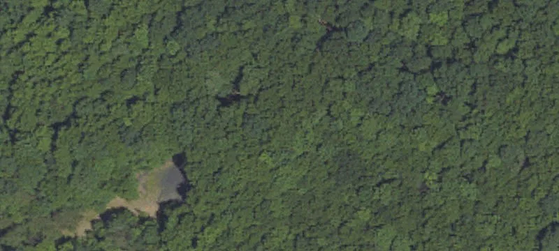 Coal Township, PA 17866