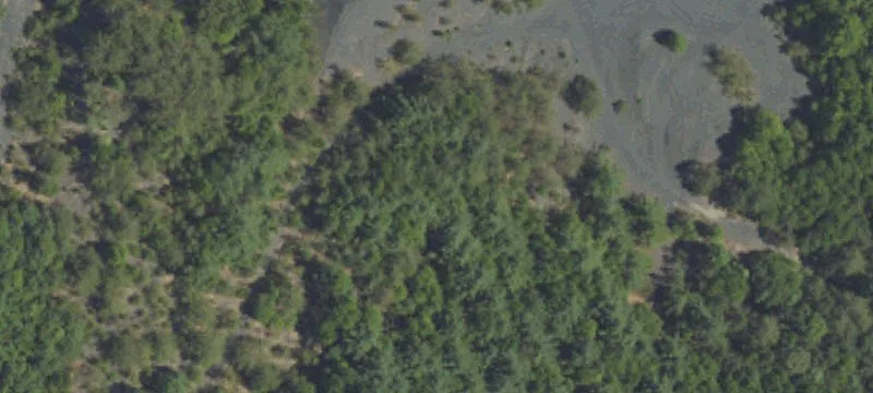 Coal Township, PA 17866