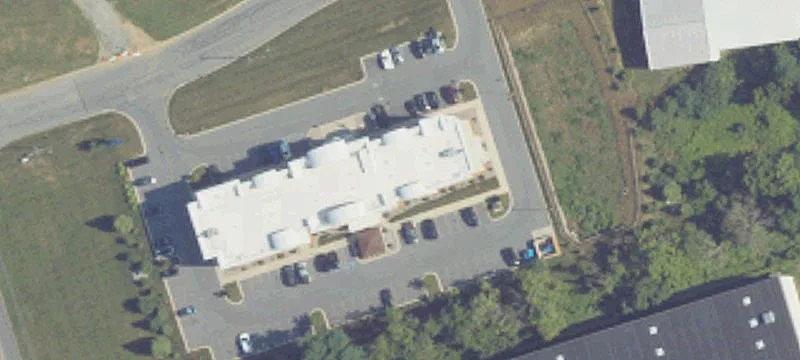 100 Tree Dr