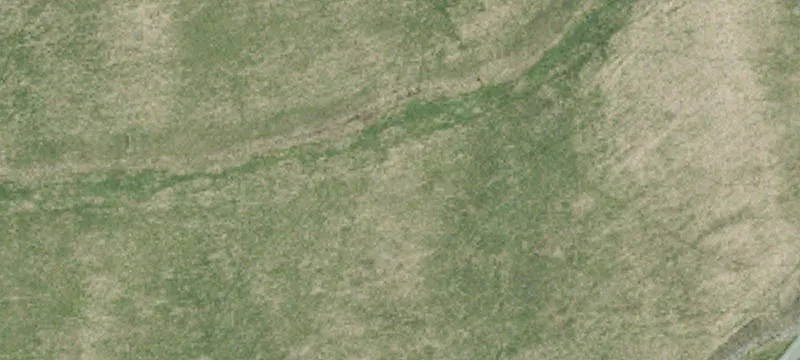 815 Whittaker Rd
