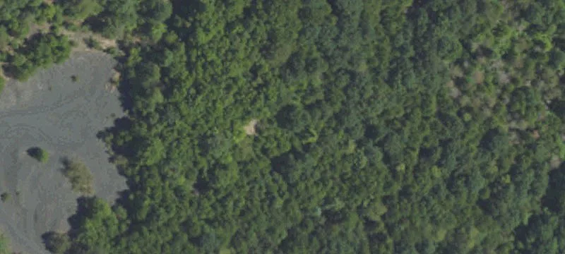 Coal Township, PA 17866