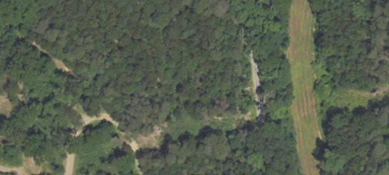 3156 State Rte 147