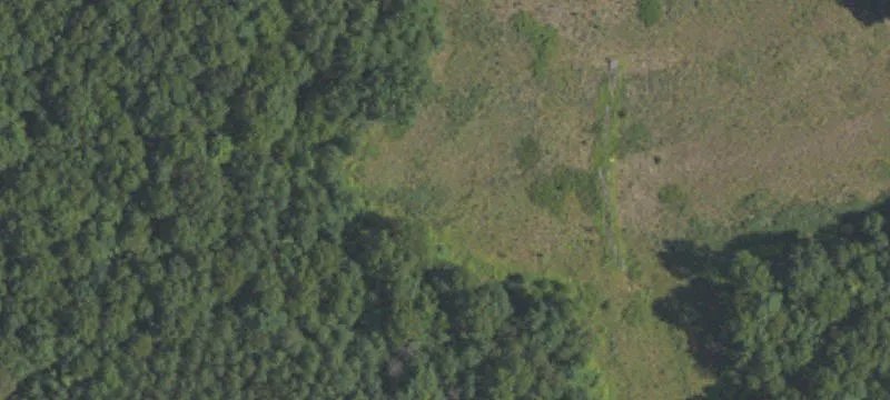 Coal Township, PA 17866