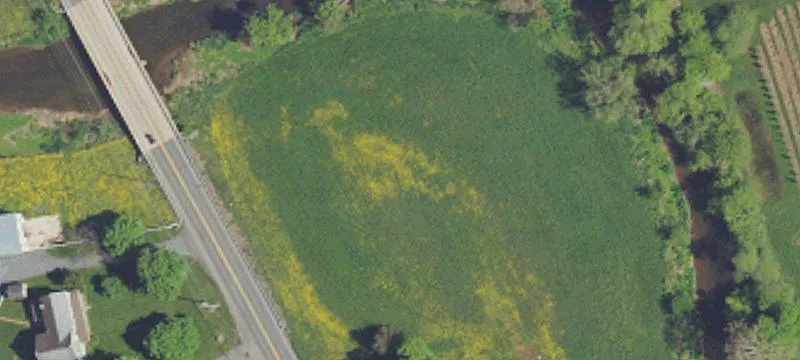 Ranck Rd