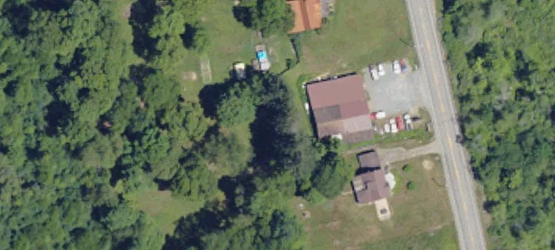 384 Bruin Main St