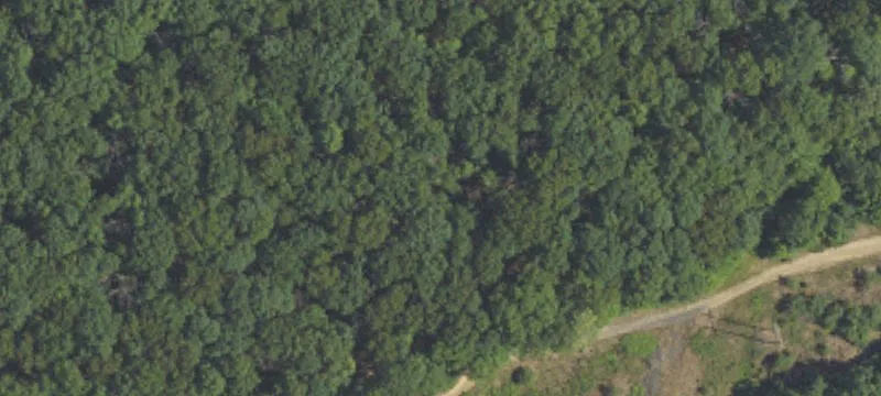 Coal Township, PA 17866