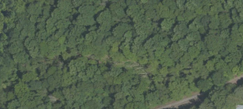 Friedline Rd