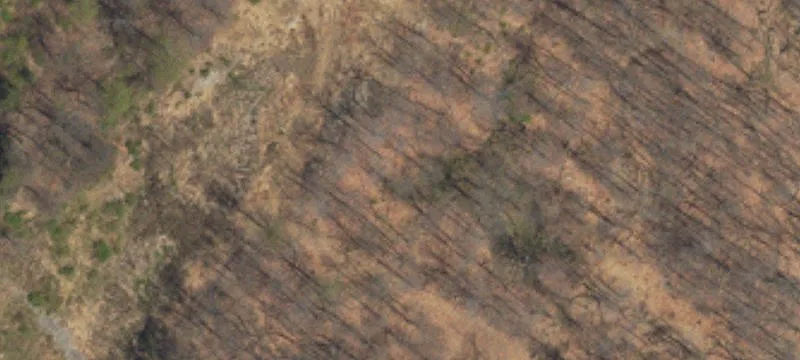 Fox Gap Rd