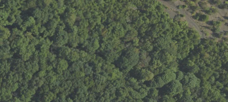 Coal Township, PA 17866