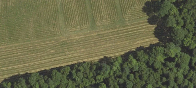 1982 Knob Rd