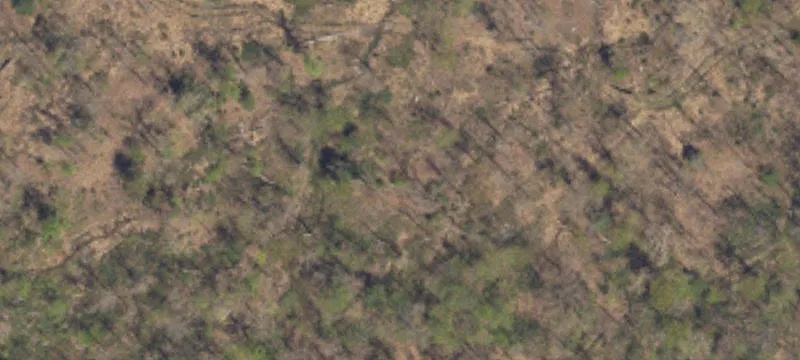 Spruce Run Rd