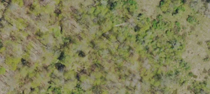 Toad Holler Rd