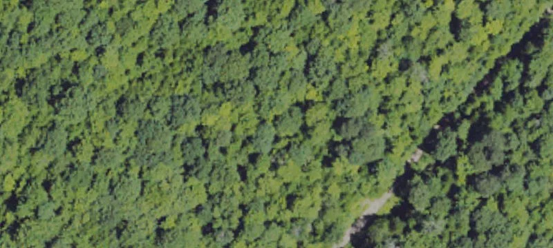 Bear Swamp Rd