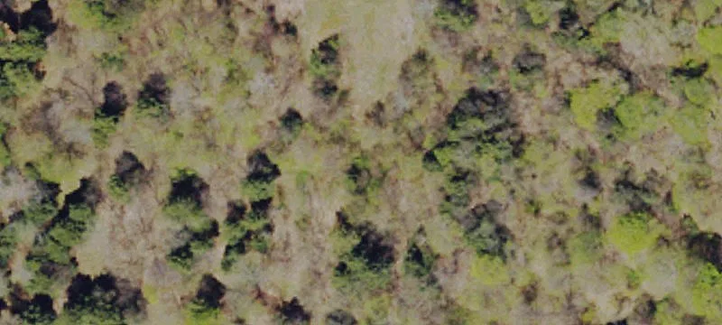5085 State Rte 547