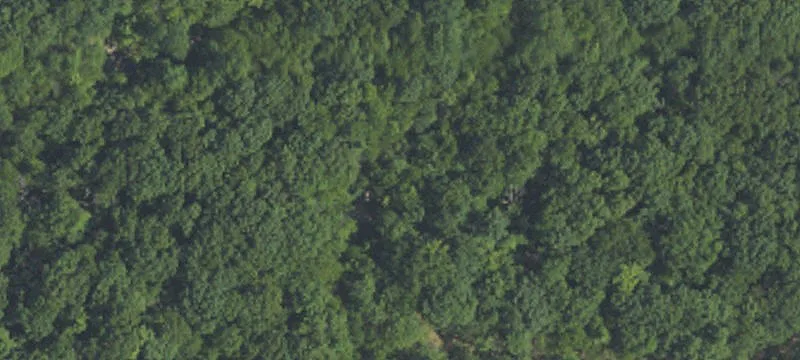 Coal Township, PA 17866