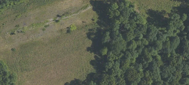 Coal Township, PA 17866