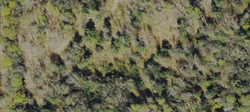 65 Sienko Rd