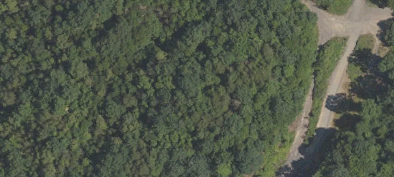 Coal Township, PA 17866