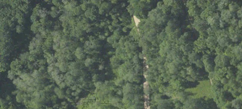 Reigel Rd