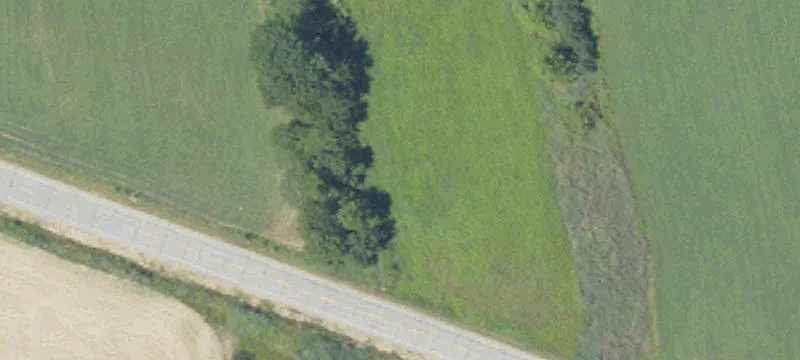 51 Mitchell Rd